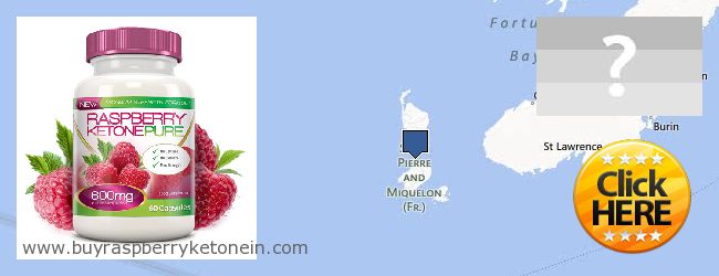 Dove acquistare Raspberry Ketone in linea Saint Pierre And Miquelon